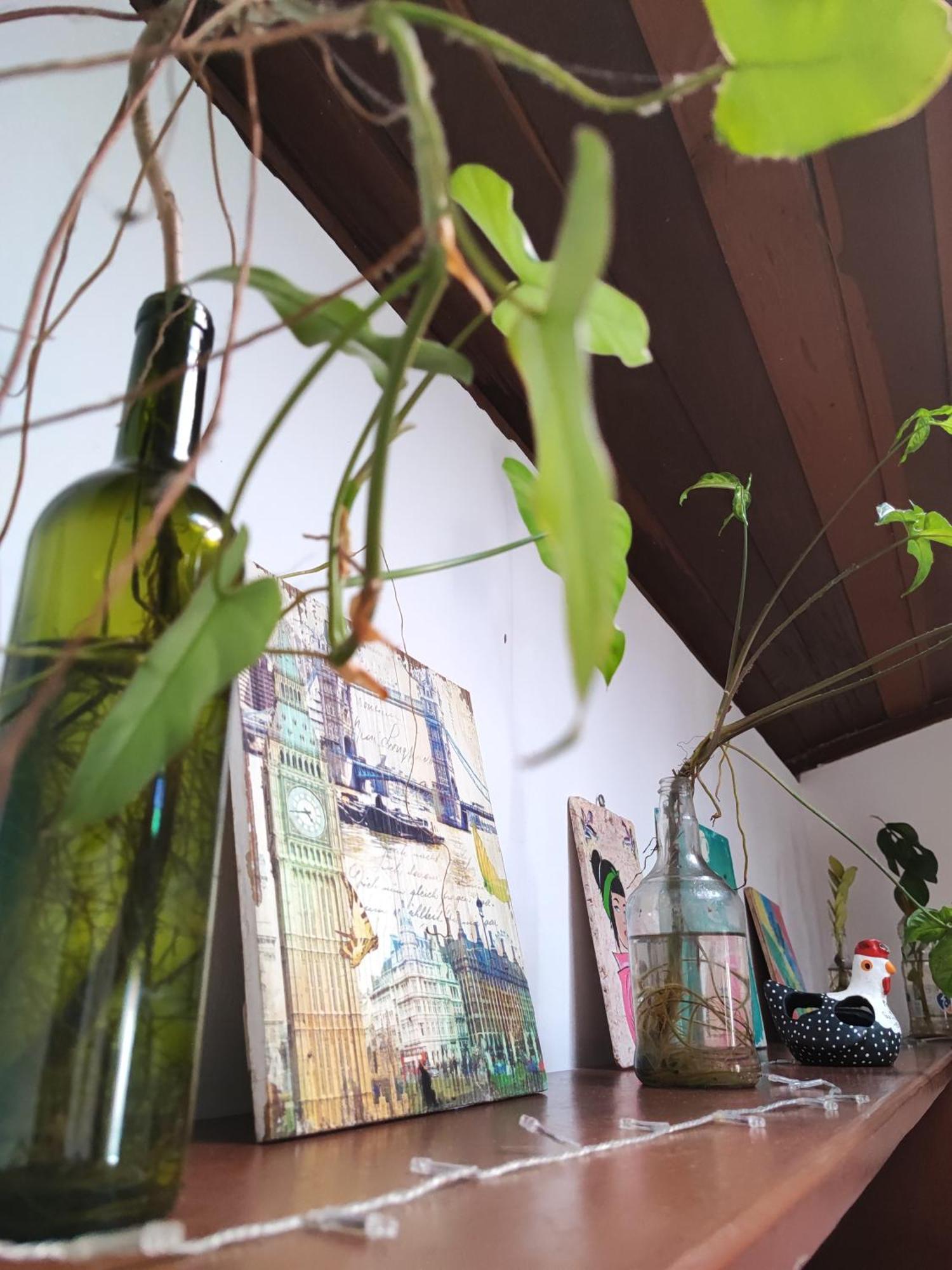 Ganesha Hostel Praia de Pipa Eksteriør bilde